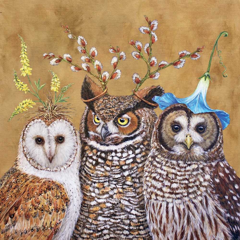 希少 1960's 紙タグ付き ドリームペッツ ディオゲネス ふくろう OWL Amazon.com: Paperproducts Design Decorative Beverage Paper Napkins